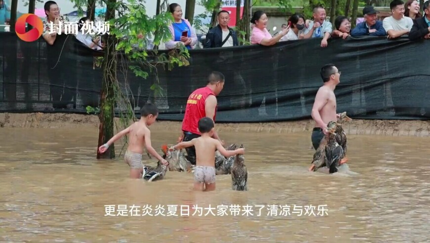 2025 澳门正版资料免费大全,男子拍下自家蒙古獒盖雪而睡,整体规划执行讲解_移动版V10.56