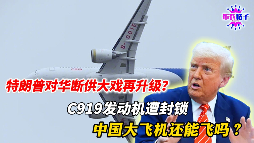 管家婆2025新澳正版资,男子春节相亲12次 看8遍《哪吒2》,社会责任方案执行_粉丝版V4.43