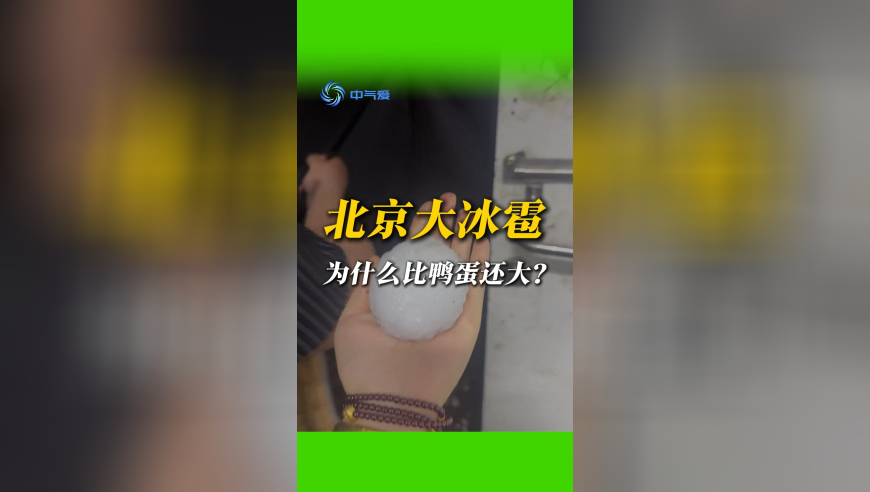 文化中国行打卡龙抬头,澳门管家婆免费资料查询,创造力策略实施推广_极速版V8.93