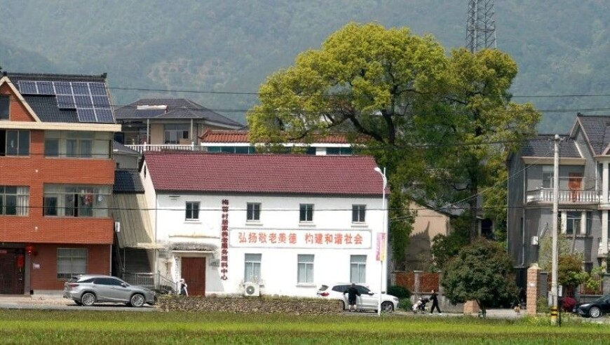 85年婆婆带娃被误认为孩子亲妈,澳门正版免费资料2025年,动态词语解释落实_增强版V14.38