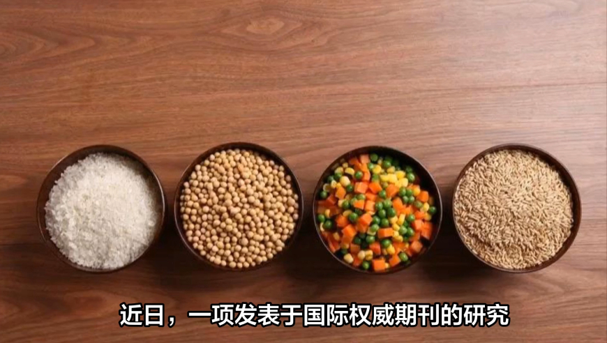 世界最大国之重器出炉,黄大仙论坛,完美答案解释落实_定制版V2.98